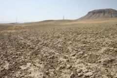 Fields of Dust: This should be a wheat field, but nothing has been harvested from here this year. The poorest farmers don’t have any irrigation systems for their fields and rely entirely on rain – which came late and sparse in the winter of 2010/2011. In the 14 provinces of Afghanistan affected by the drought, farmers have lost an average of 80 percent of the rain-fed harvest. (WFP/Silke Buhr)